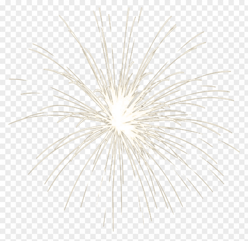 Fireworks Explosive Material Free To Pull Black And White Pattern PNG