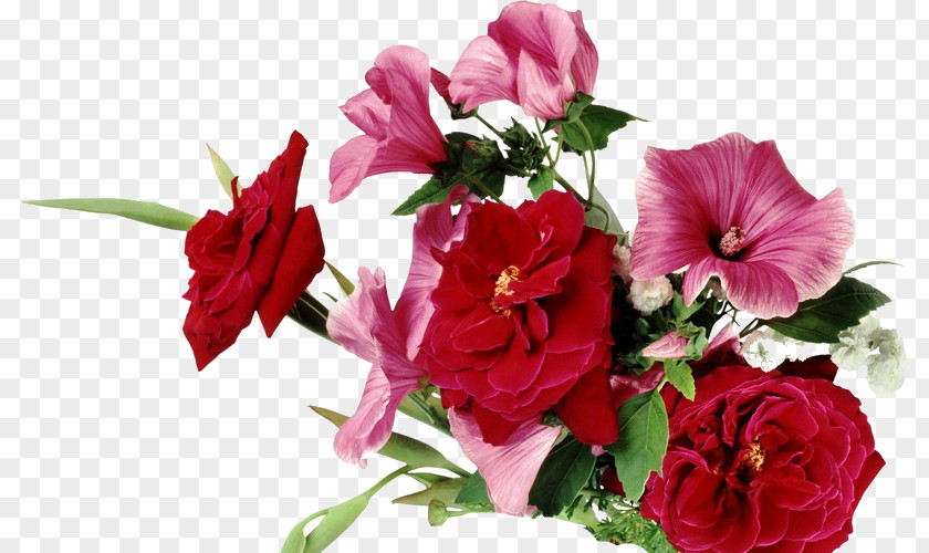 Flower Desktop Wallpaper Image Photograph Garden Roses PNG