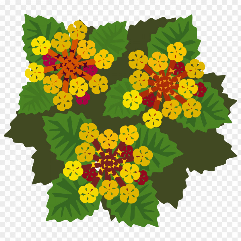 Flower West Indian Lantana Clip Art Vector Graphics Openclipart PNG