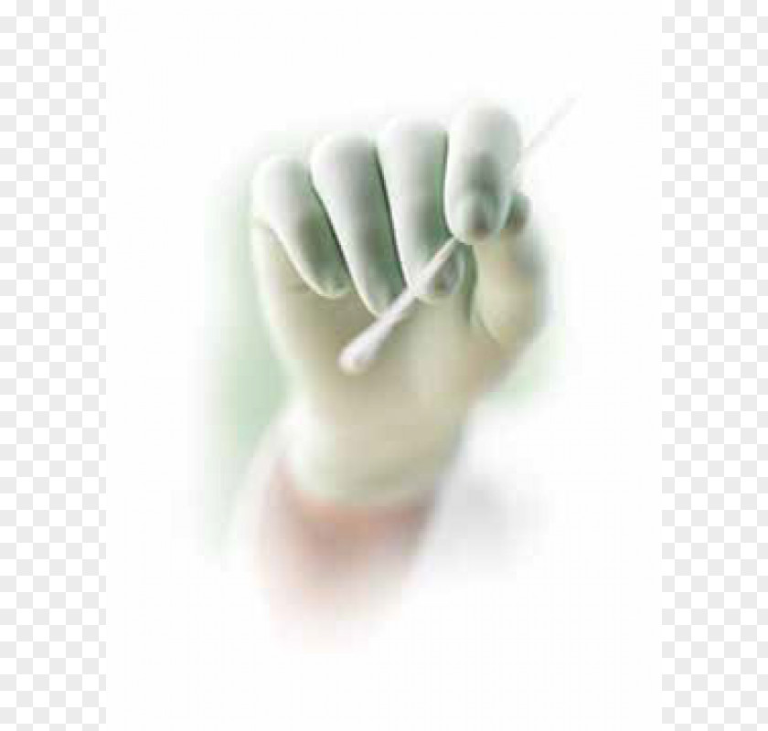 Hand Thumb Model Medical Glove PNG