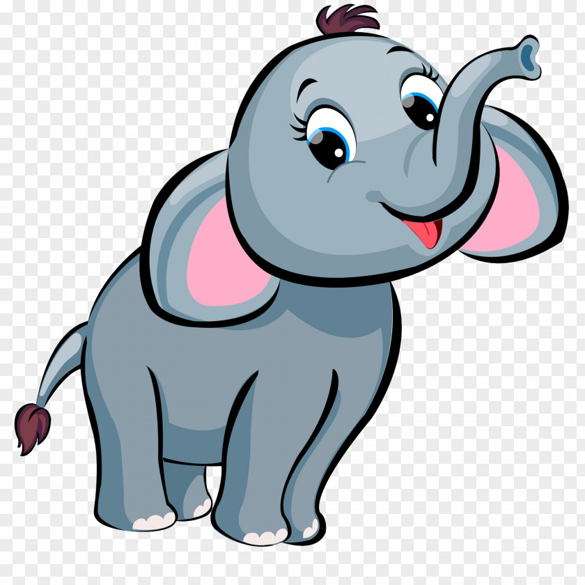 Indian Elephant PNG