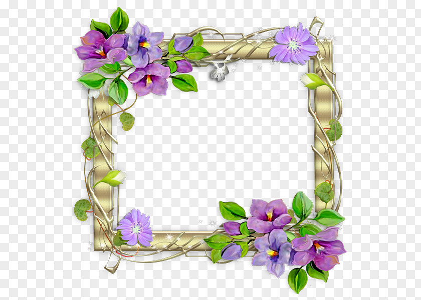 Painting Picture Frames Image Molding Photography Clip Art PNG