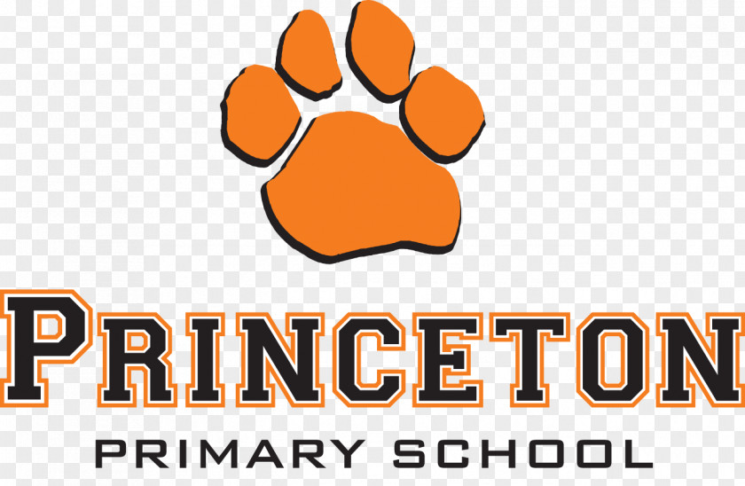 School Princeton University Elementary Education State PNG