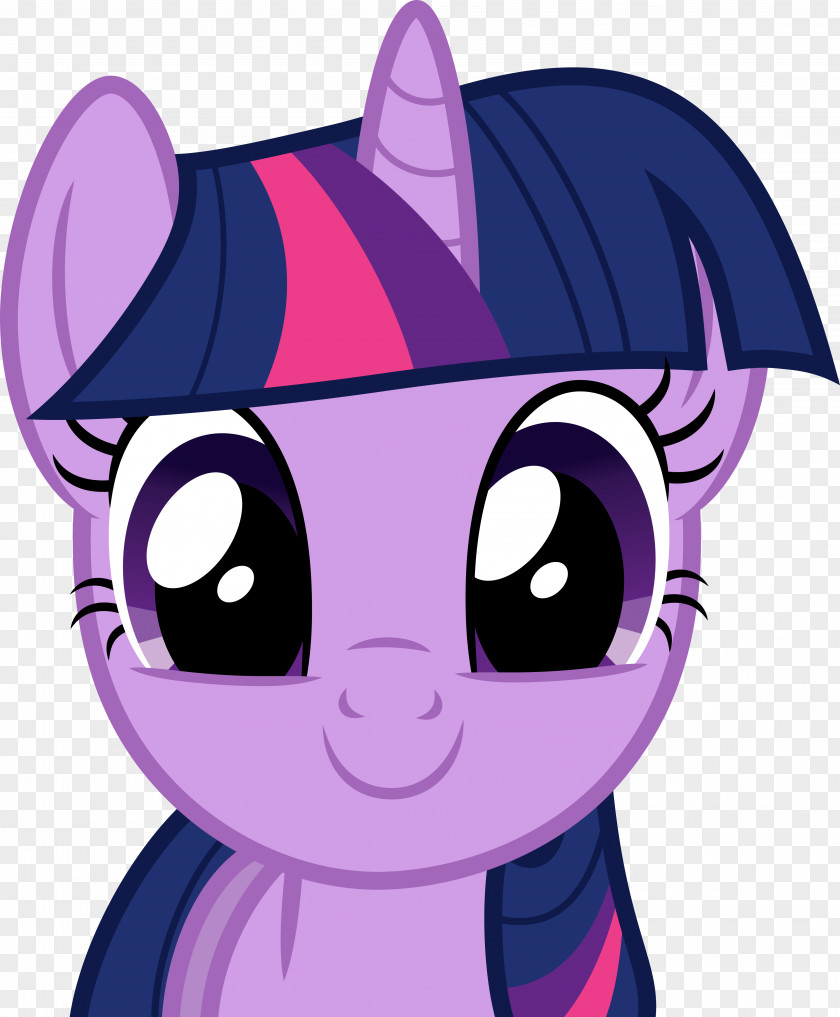 Twilight Sparkle Pinkie Pie Rainbow Dash Princess Celestia Rarity PNG