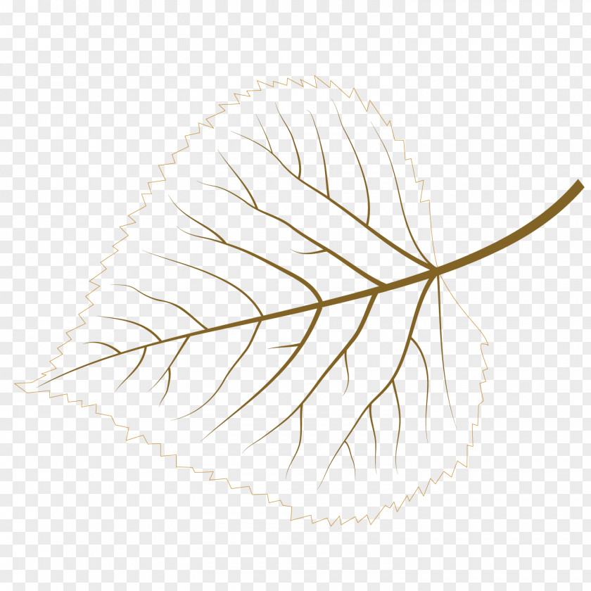 Vector Art Plant Leaves PNG