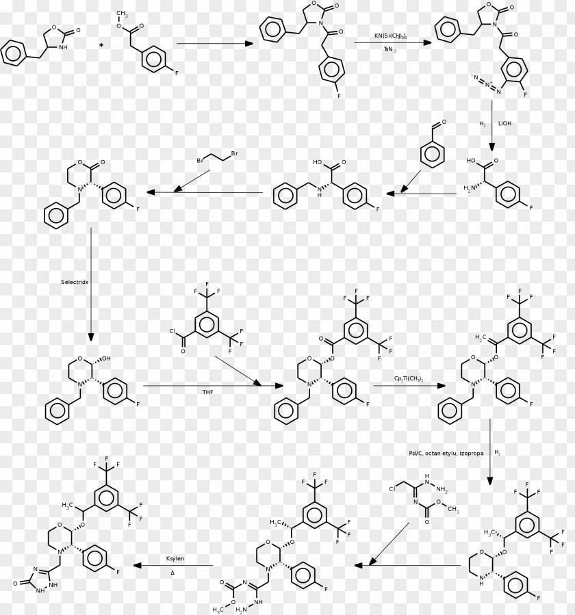 Aprepitant Chemical Synthesis CYP3A4 Organic Chemistry Sintesis PNG