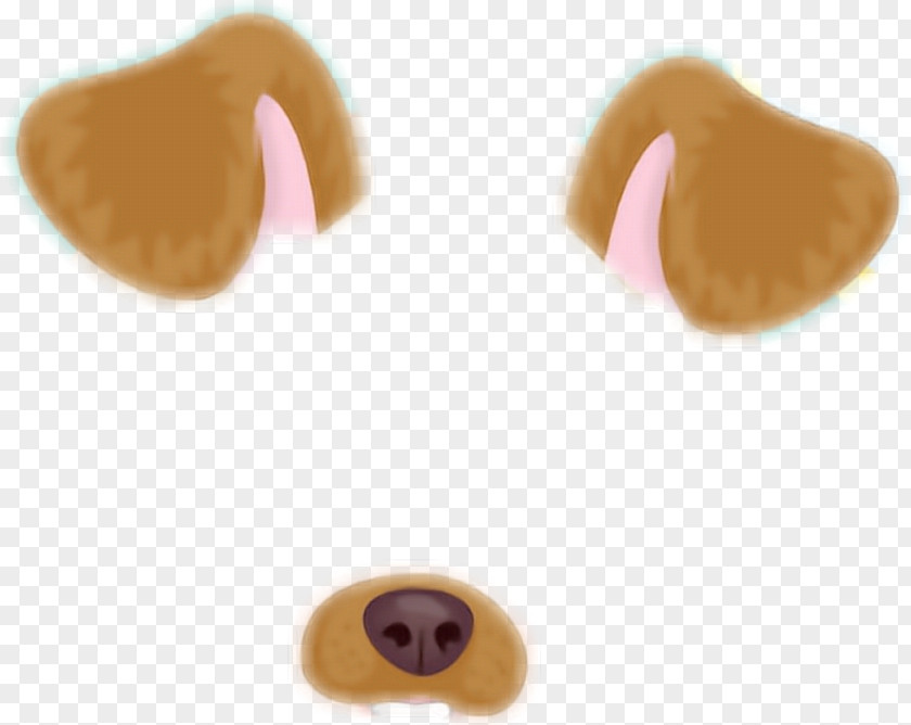 Filter Snap Chat Dog Paddle Animal Doge Snapchat PNG
