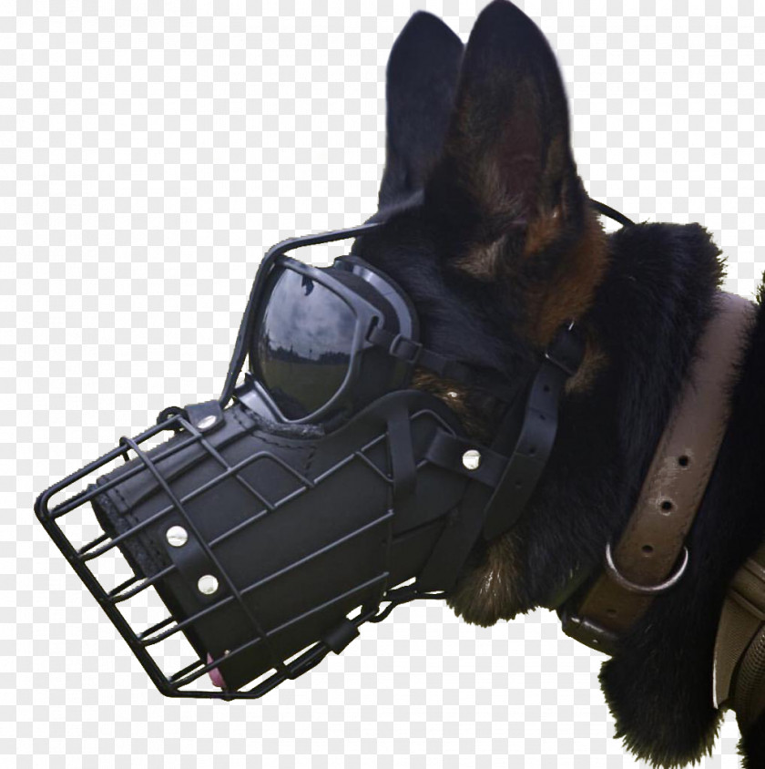 Leatherneck Raiders Malinois Dog German Shepherd Belgian Dogs In Warfare Police PNG