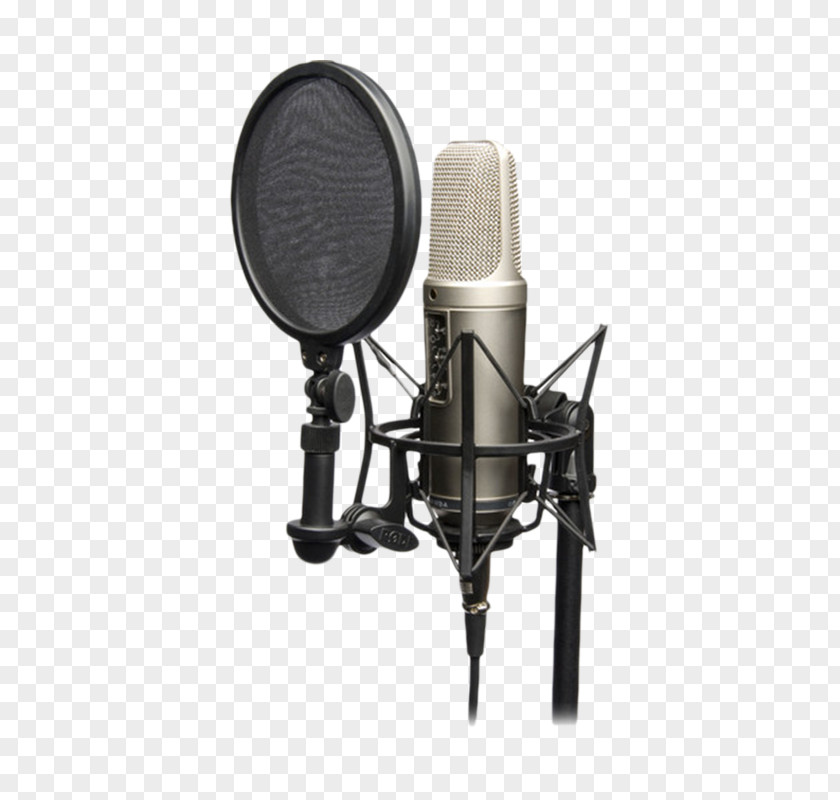 Microphone Røde Microphones RØDE NT2-A Shock Mount NT1 PNG