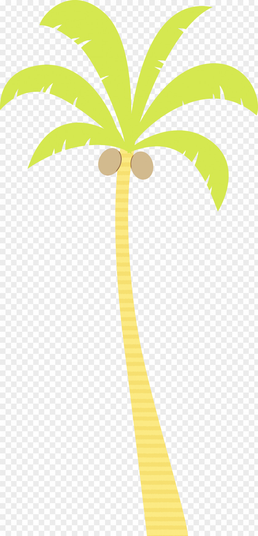 Palm Trees PNG