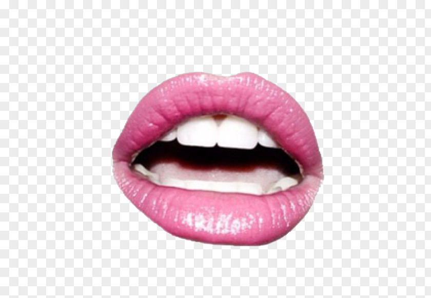Pink Lips Lip Mouth PNG