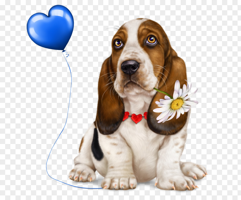 Puppy Basset Hound Artésien Normand Dog Breed Beagle PNG