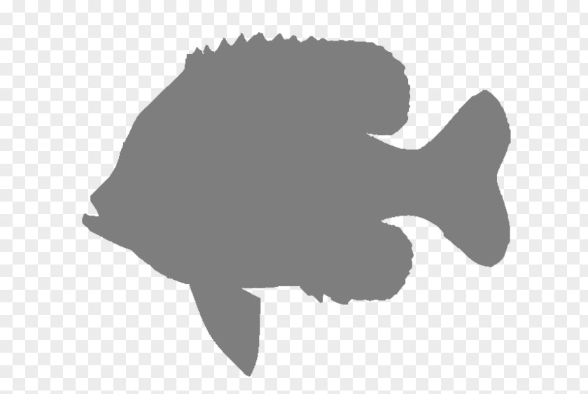 Silhouette Bluegill Clip Art Image PNG