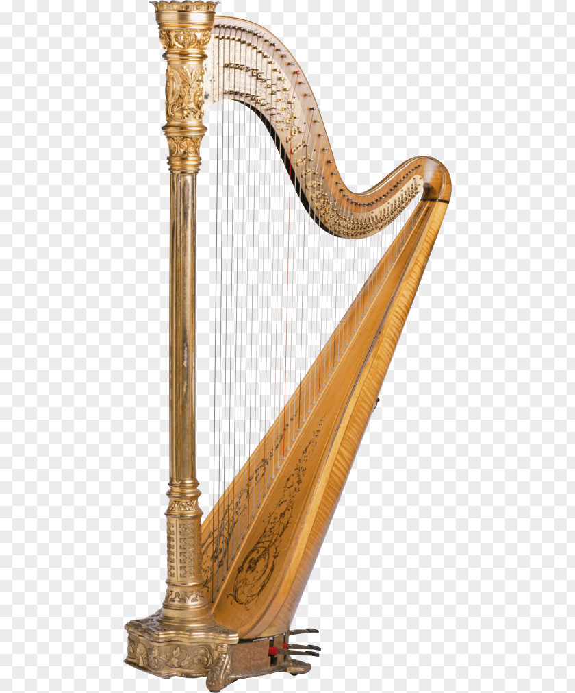 Harp Image String Instruments Clip Art PNG