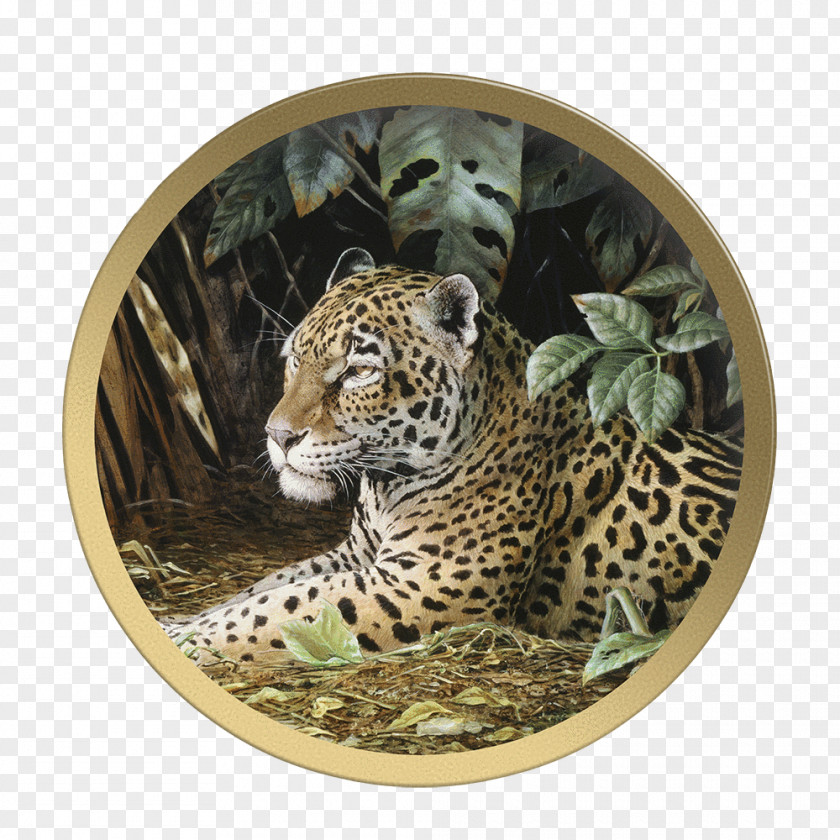 Jaguar Blingee Leopard GIF Clip Art PNG