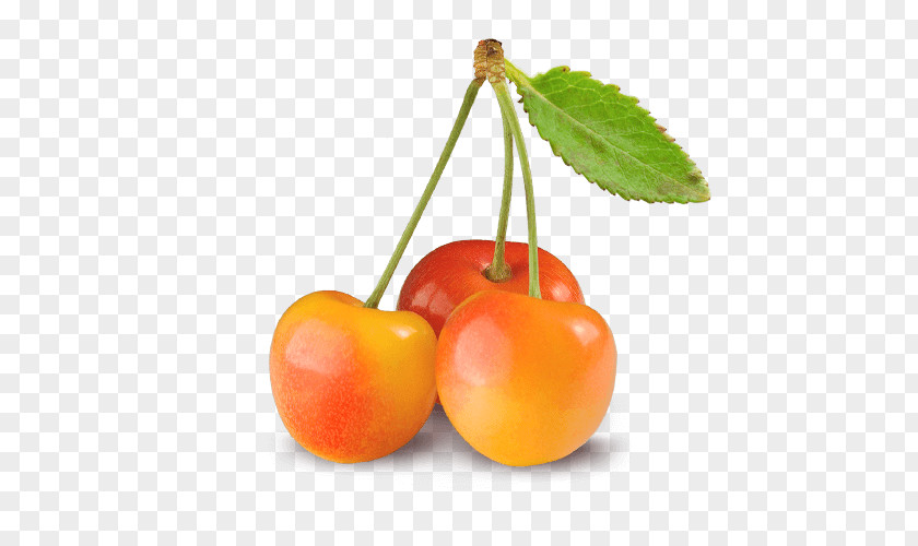 Rainier Cherries Cherry Royal Ann Bing Food PNG
