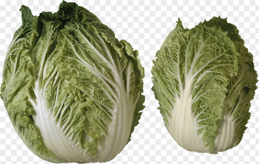 Salad Image Israeli Vegetable Cabbage PNG