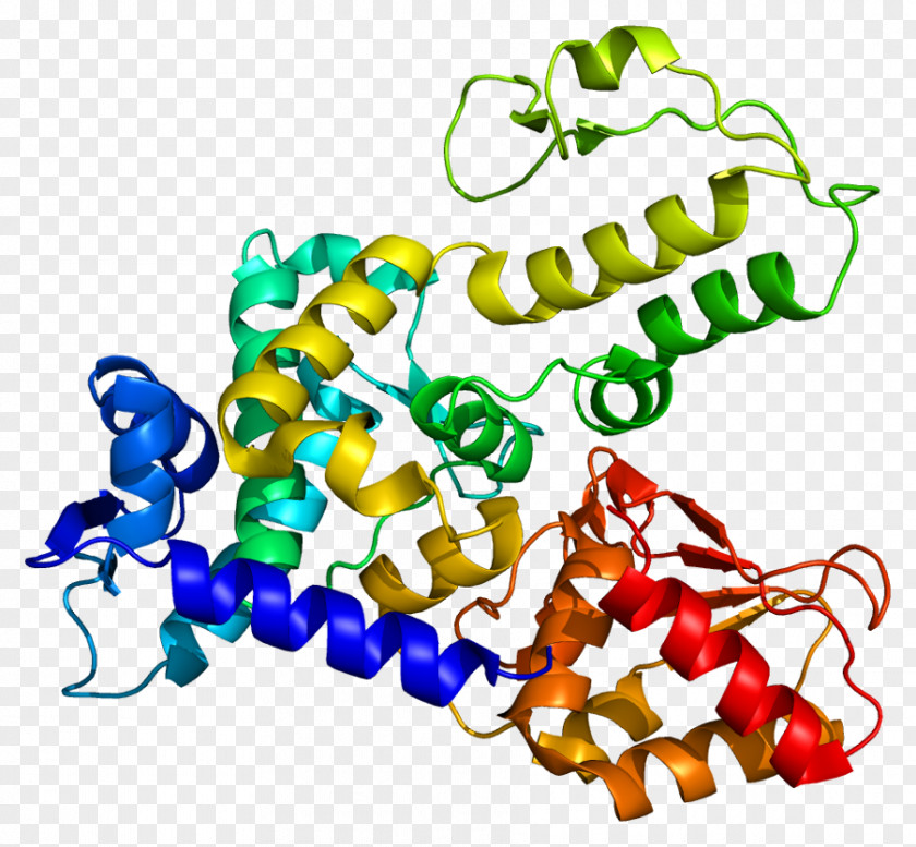 WWP1 NEDD4 Ubiquitin Ligase Protein Clip Art PNG
