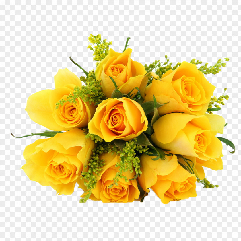 Yellow Rose Flower Desktop Wallpaper PNG