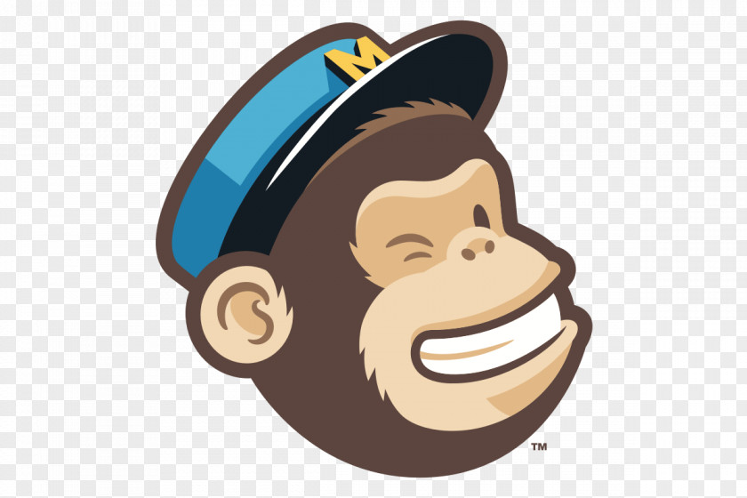 Business MailChimp E-commerce Marketing Newsletter PNG