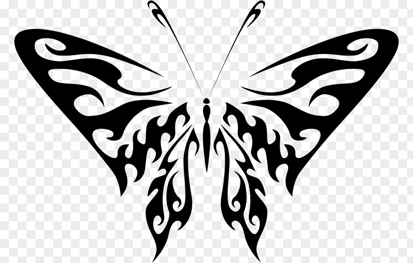 Butterfly A Art Drawing Clip PNG