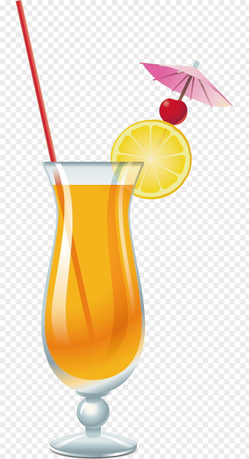 Exquisite Cocktail Drinks Beer Martini Juice Vodka PNG