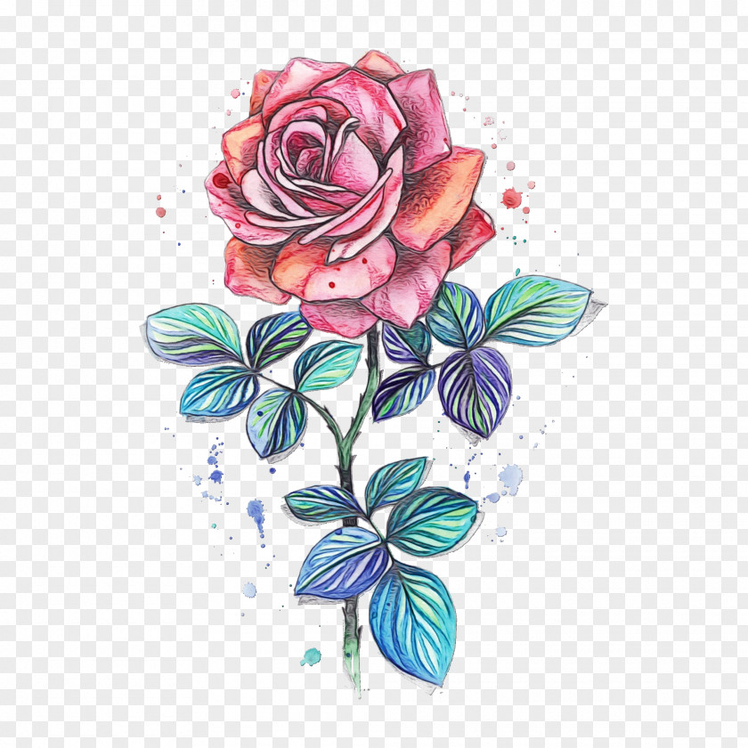 Garden Roses Abziehtattoo Sketch Floral Design PNG