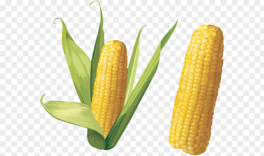 Popcorn Corn On The Cob Flint Clip Art PNG