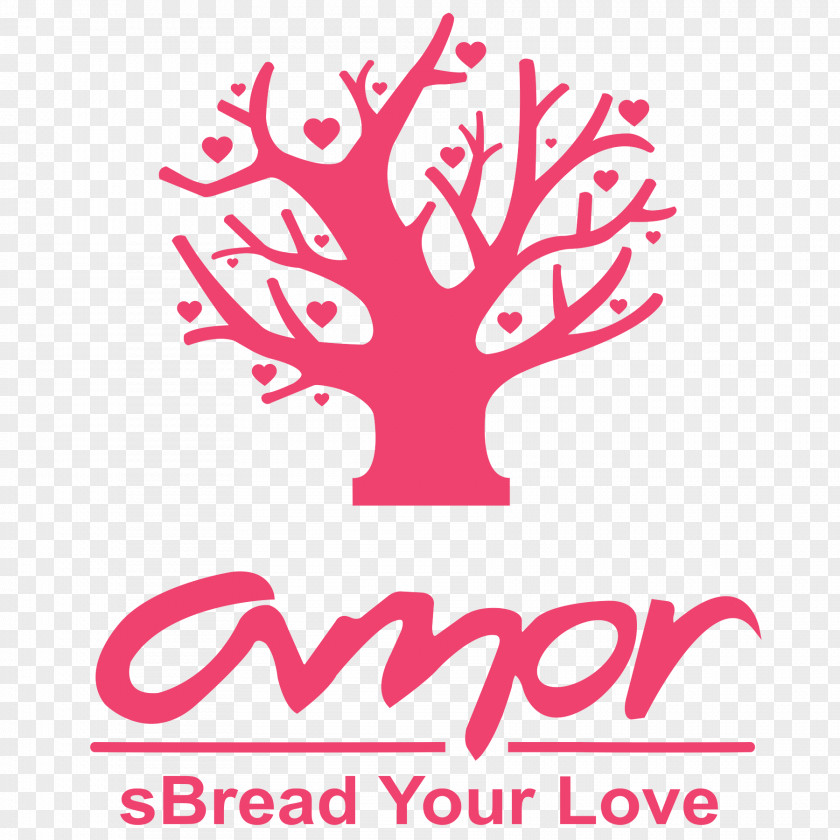 Bakery Products Lima Internet Radio RADIO AMOR Station FM Broadcasting PNG