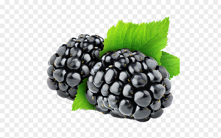 Blackberry Raspberry Amora Fruit PNG