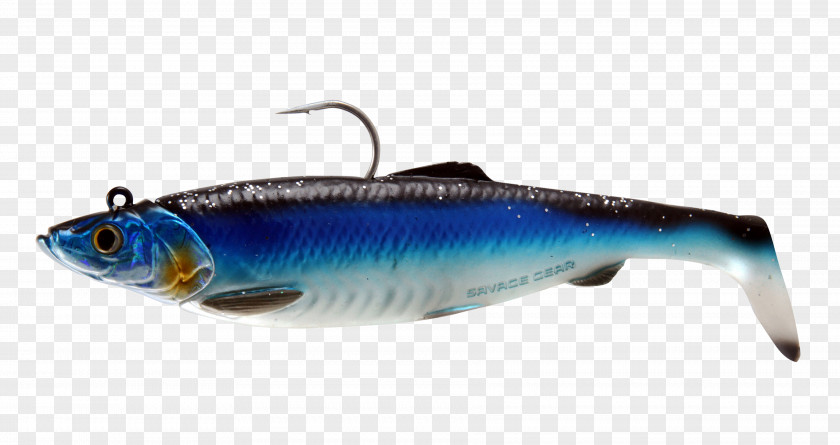 Fishing Sardine American Shad Baits & Lures Herring PNG