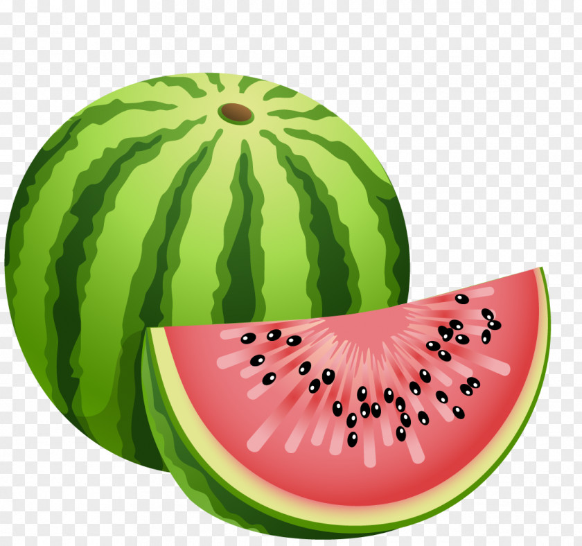 Melon Watermelon Fruit Clip Art PNG