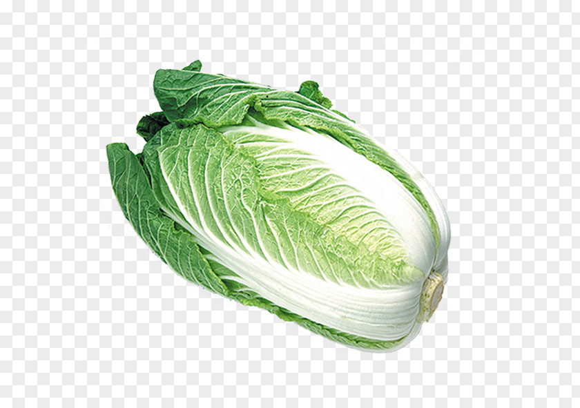 Organic Cabbage Chinese Cuisine Vegetable Fruit PNG