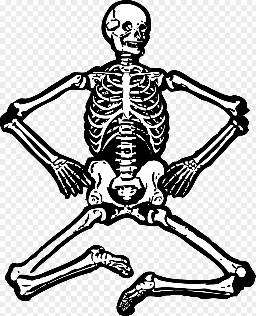 Skeleton Cliparts Human Free Content Clip Art PNG