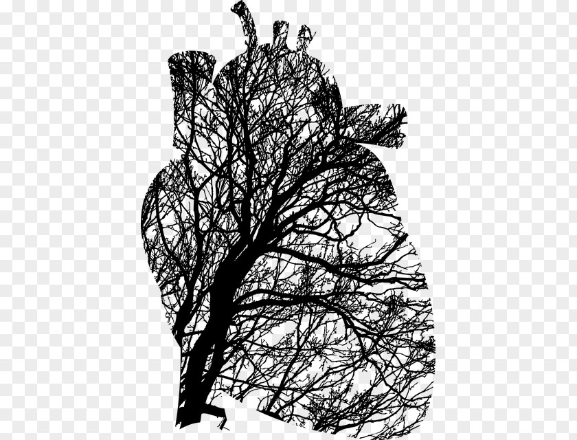 Tree Of Life Line Art Emergency Medicine T-shirt Cardiology Research PNG