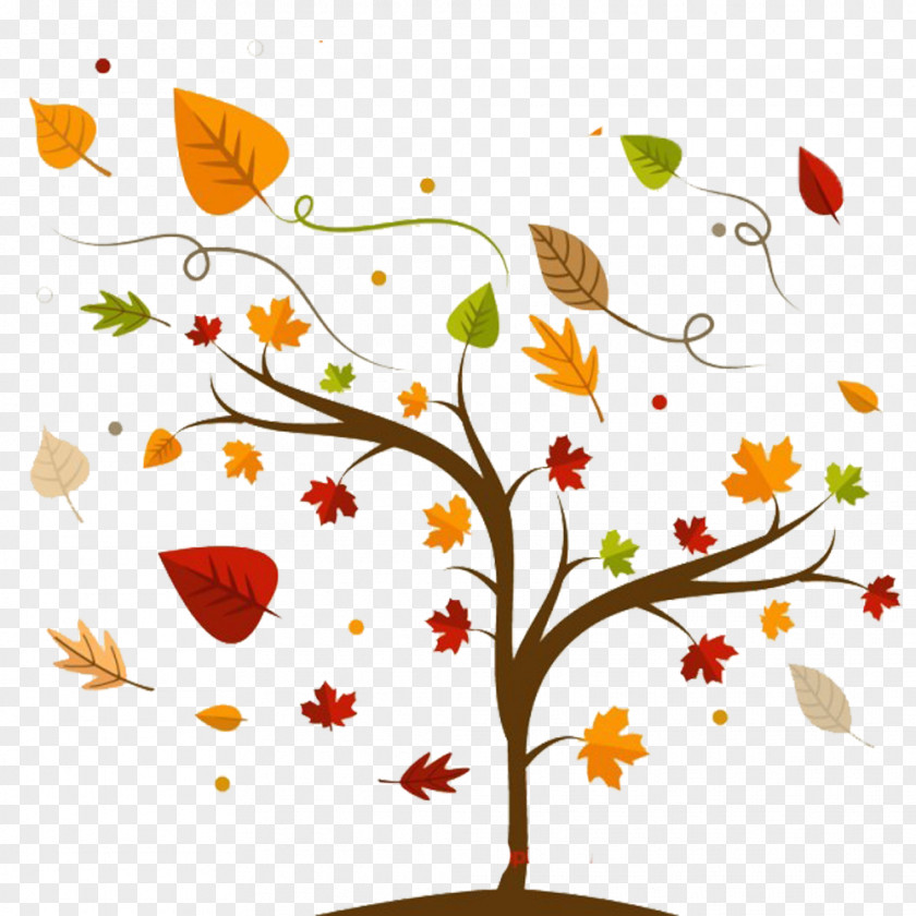 Autumn Maple Picture Material Tree Euclidean Vector PNG