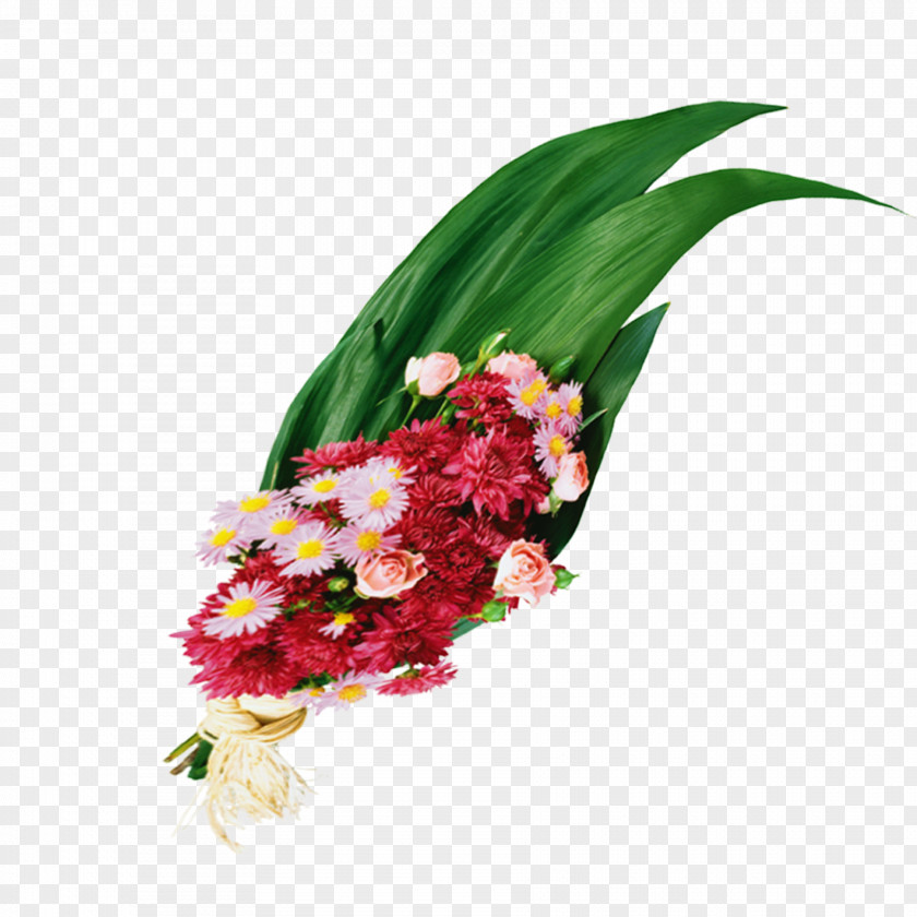 Chrysanthemum Flowers Beam To Pull Material Free Floral Design Flower Bouquet Cut Nosegay PNG
