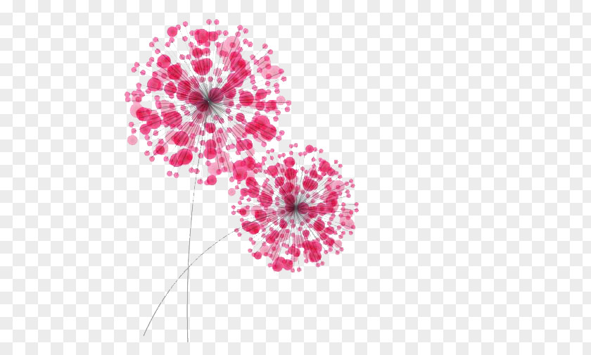 Dandelion Rolgordijn Drawing Royalty-free PNG