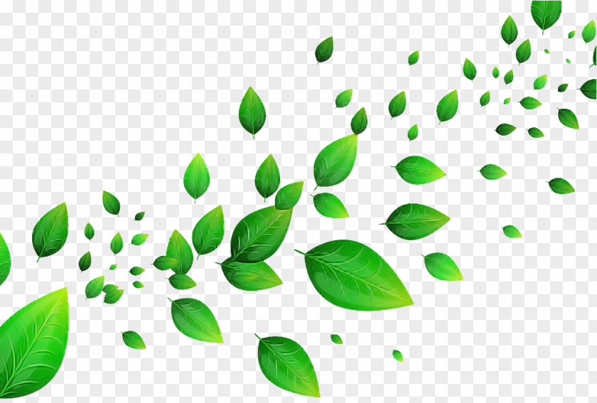 Green Leaf Plant Tree Flower PNG