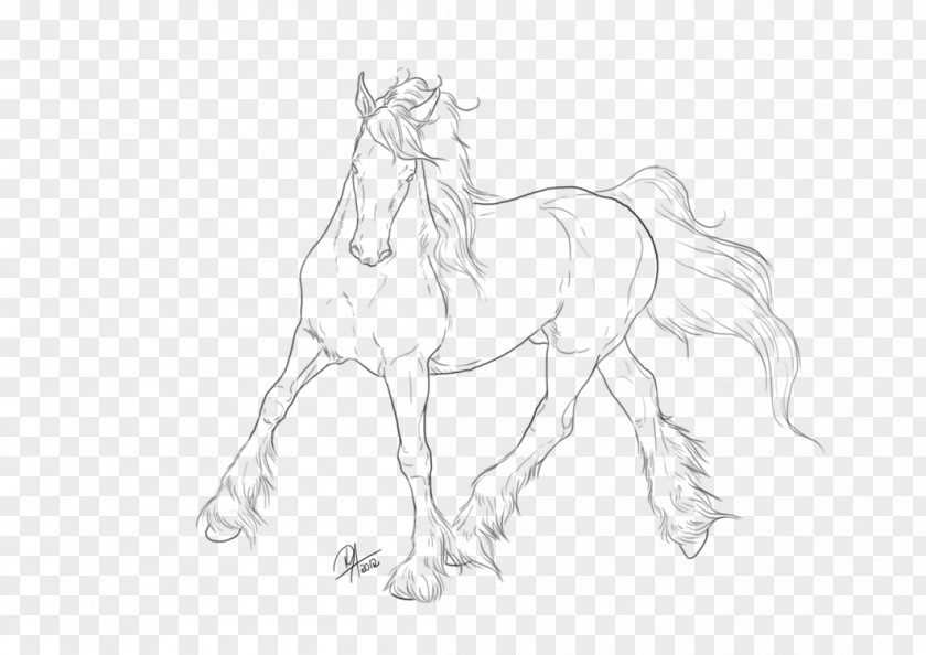 Gypsy Horse Mane DeviantArt Sketch PNG