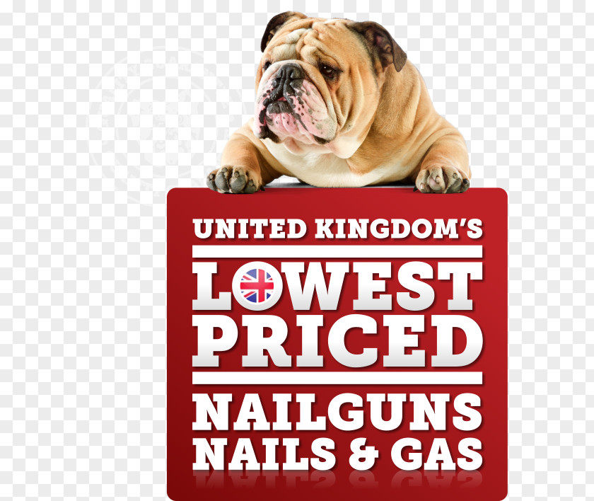 Puppy Bulldog Dog Breed Non-sporting Group Product PNG