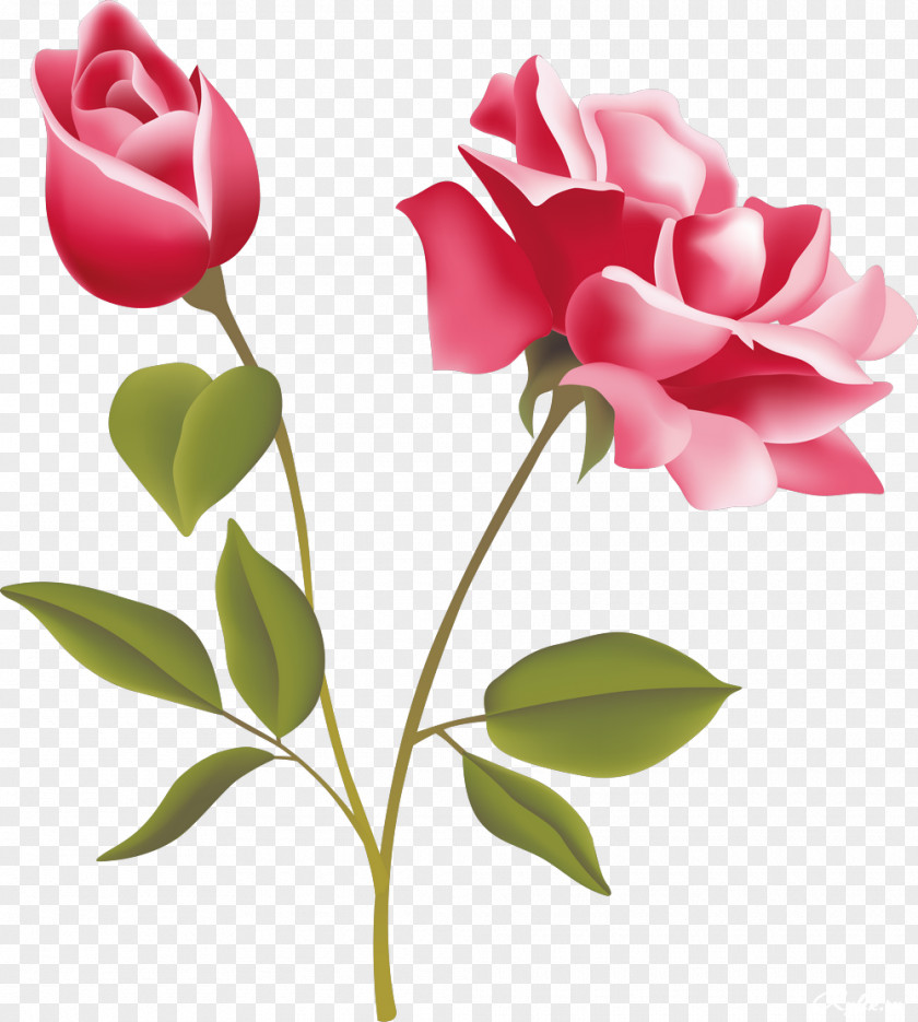 Rose Vector Pink Free Clip Art PNG