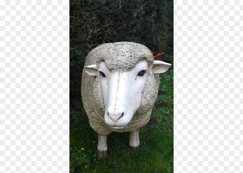 Sheep Statue Snout PNG