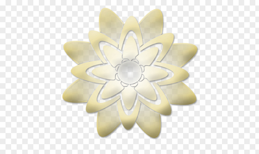 White Flower DeviantArt Party In The U.S.A. Painting Petal PNG
