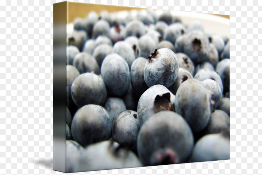 Blueberry Bilberry Superfood Prune PNG