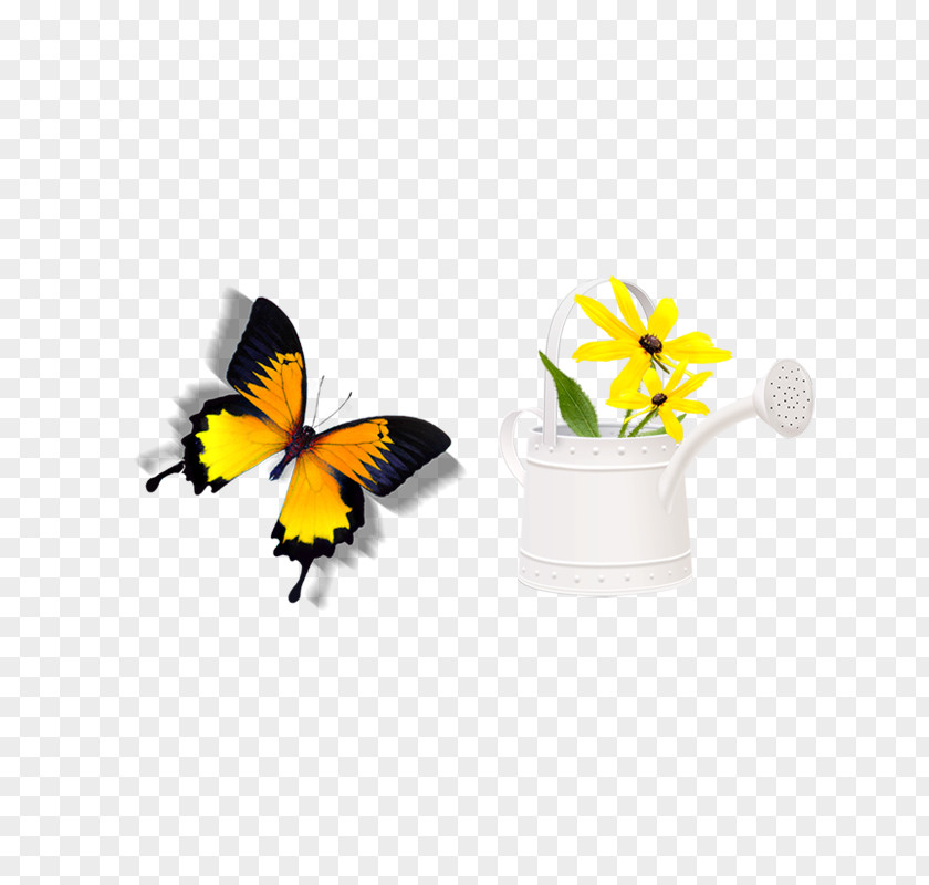 Butterfly Download Icon PNG