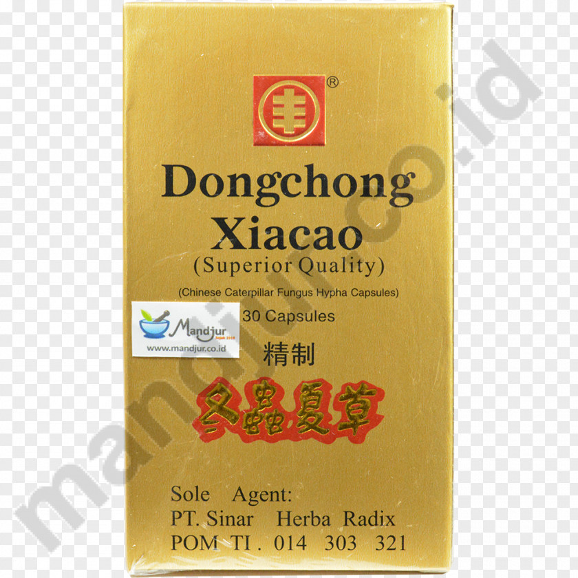 Dong Chong Xia Cao Capsule Tablet Dietary Supplement Fish Oil Blackmores PNG