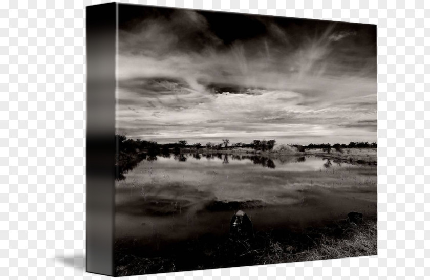 Landscape Painting Monochrome Photography Stock Picture Frames PNG