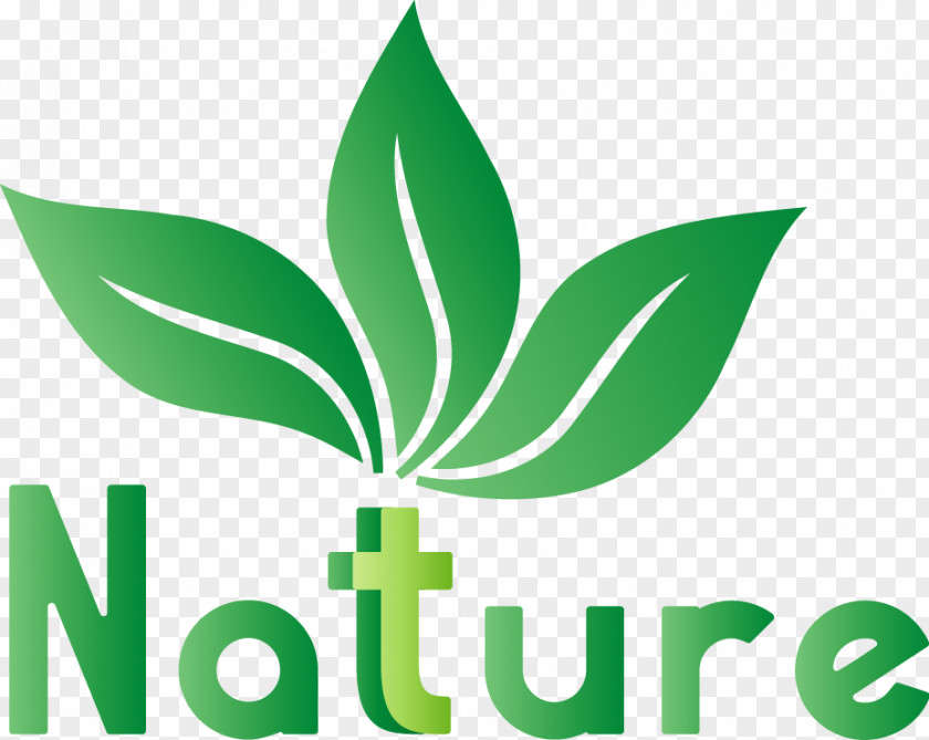 Logo Dota 2 Nature PNG