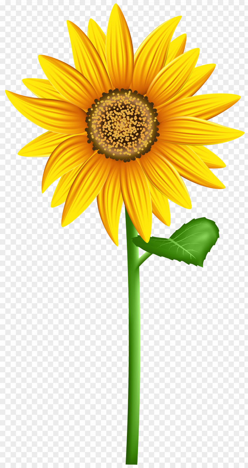Orange Sunflower Clip Art Desktop Wallpaper Image PNG